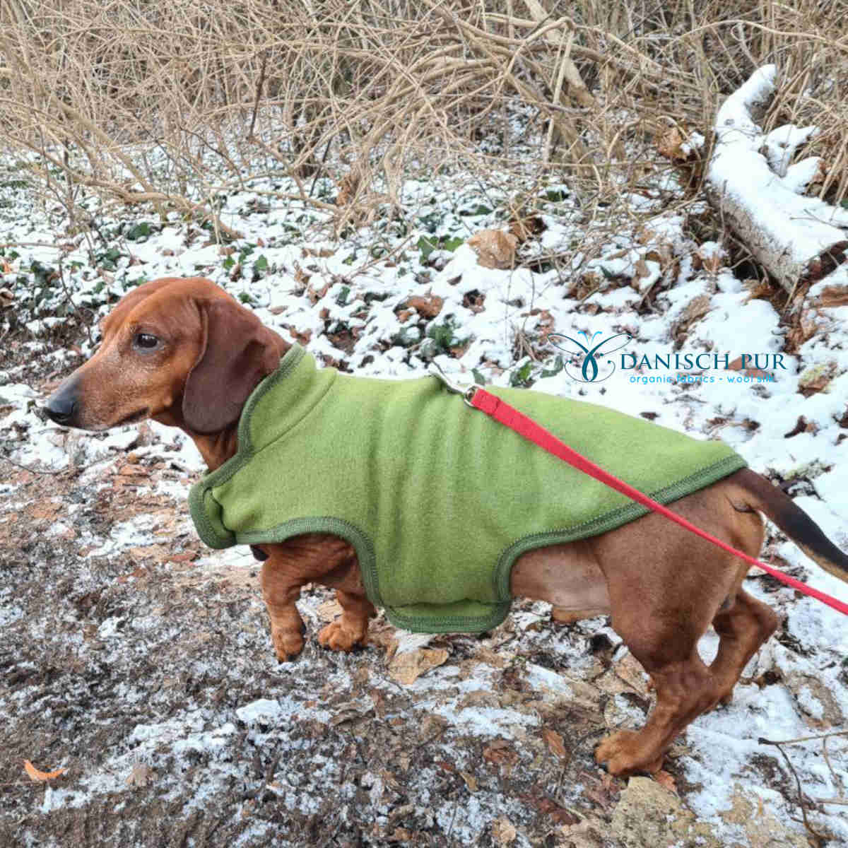 Kuschelwalk Bergamotte- Bio Wollwalk als Merinowalk (kbt, mulesingfrei)