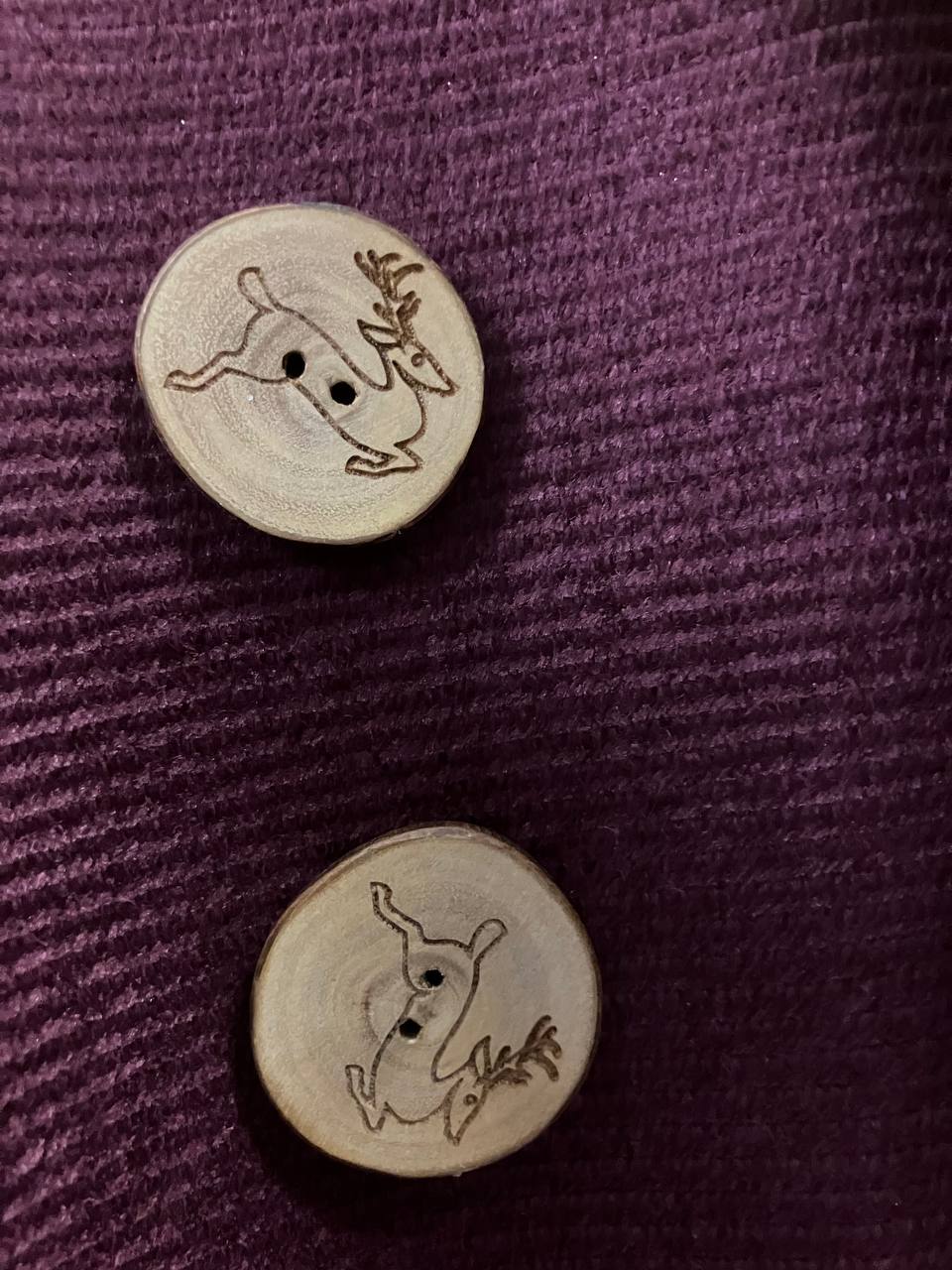 Knob wooden slice as grown