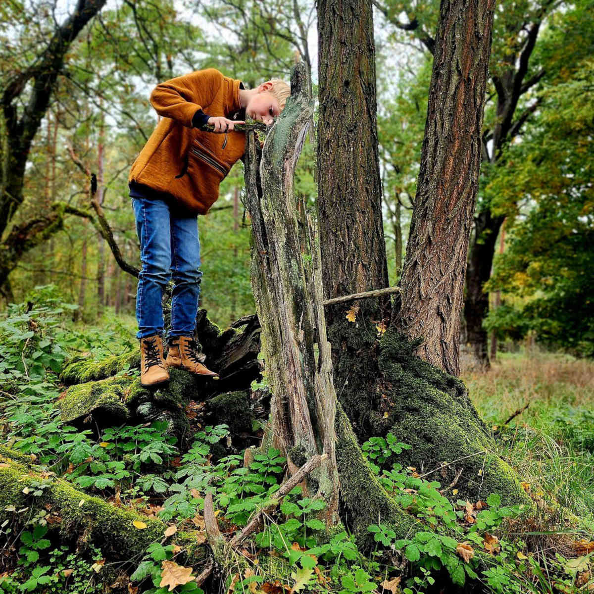 Bio Wendefleece Gold meliert (100% Schurwolle, Merino, kbt, mulesingfrei)