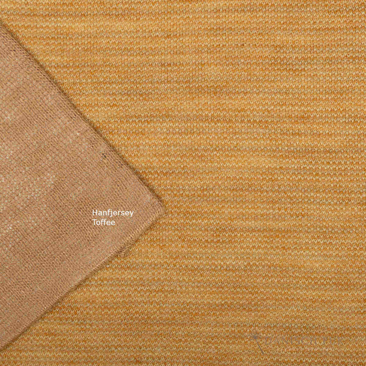 Bio Wolle/Lyocell Jersey Sanddorn-Cino (70% Schurwolle (Merino, kbt, mulesingfrei), 30% TENCEL™ Lyocell)