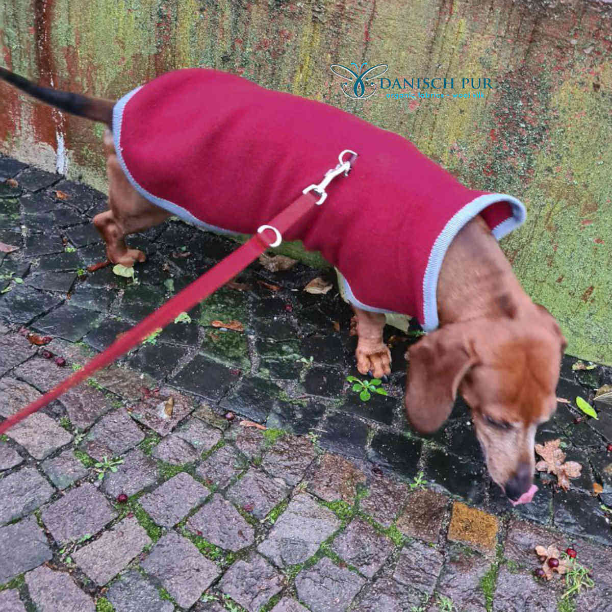 Kuschelwalk in Kirschrot - Bio Wollwalk als Merinowalk (kbt, mulesingfrei)