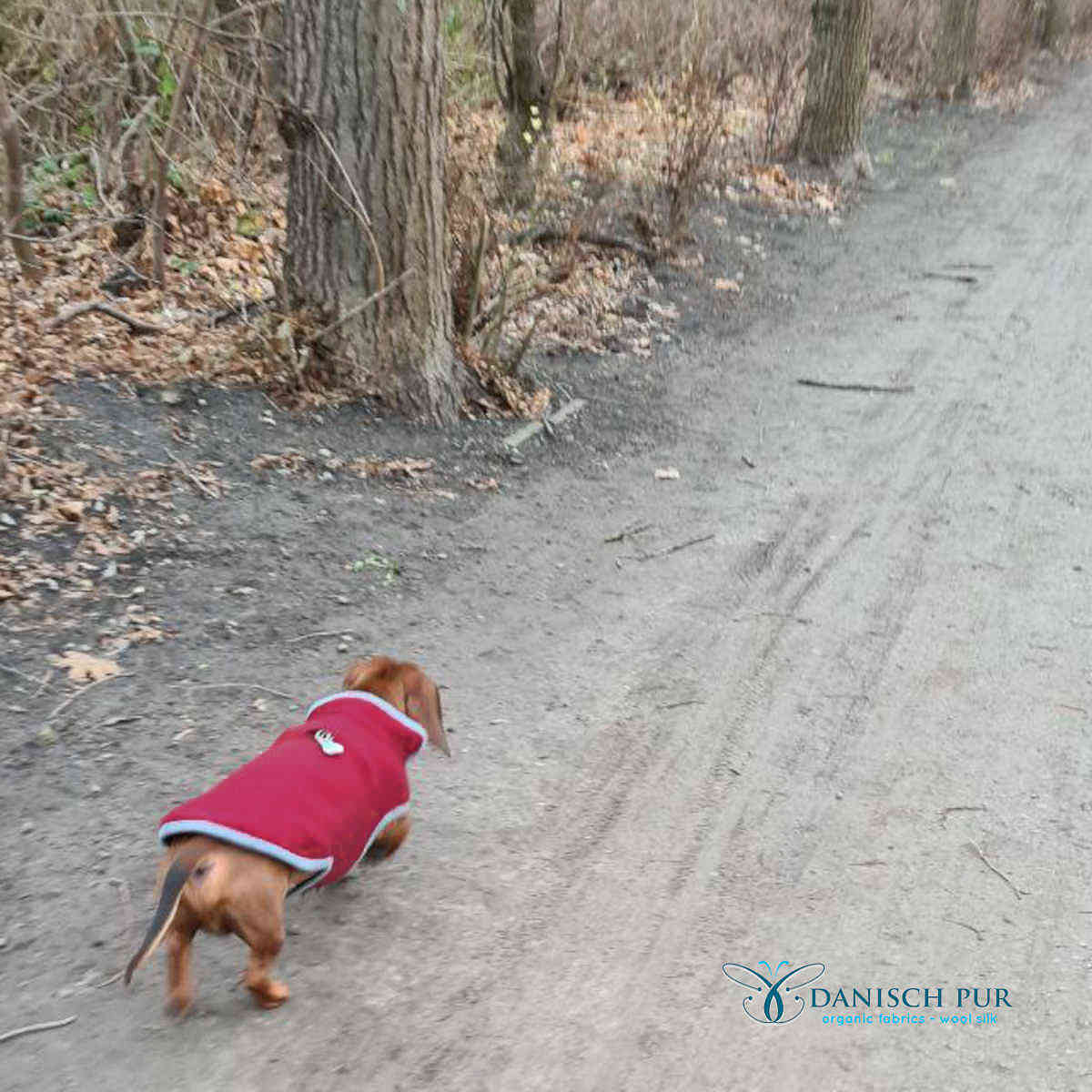 Kuschelwalk in Kirschrot - Bio Wollwalk als Merinowalk (kbt, mulesingfrei)