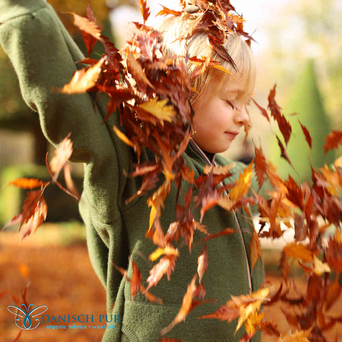 Herbsteinführungspreis bis 01.09. Schurwollwalk in Moosgrün - Bio Wollwalk (kbt, 100% Schurwolle)